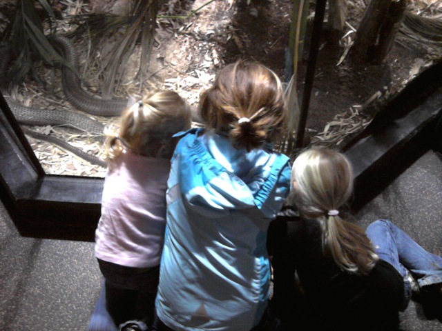 [IMG_20111010_104042%255B3%255D.jpg]