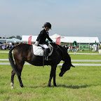 60D_00577.jpg
