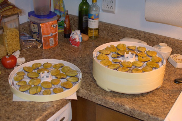 [DSC_0038-001%255B4%255D.jpg]