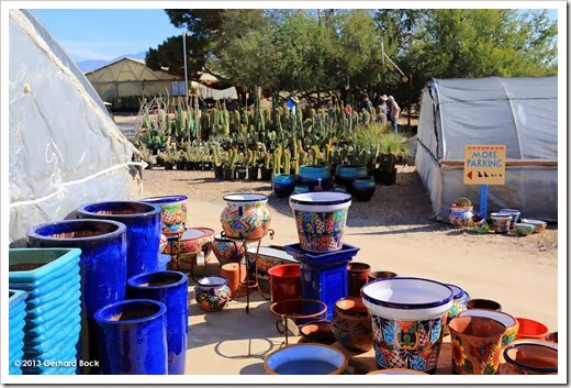 Succulents And More Arizona Day 2 Tucson Tohono Chul