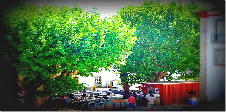 P1080802 P1080802