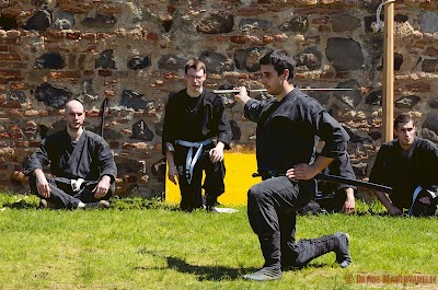 Enbu-castello21.jpg