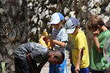 IMG_0781.JPG