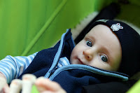 Oscar in the pram