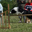 DSC01073.JPG