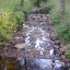 Image0050.jpg
