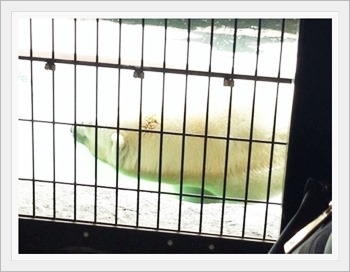 [9527487435_91f00e0b13_o%255B3%255D.jpg]