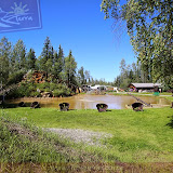 Pioneer Village - Fairbanks - Alaska - EUA