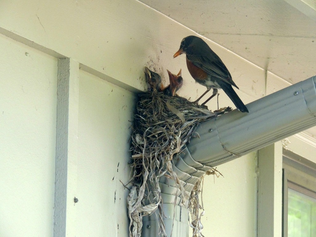 [DSCN3233%255B3%255D.jpg]