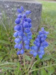DSC03421.JPG