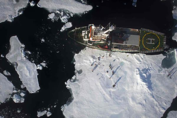 The ship Arctic Sunrise is moored to an ice floe to assist scientists in making an ice station in the Fram Strait September 3, 2011. NASA scientists say climate change is destroying the oldest, thickest ice formations in the Arctic. REUTERS