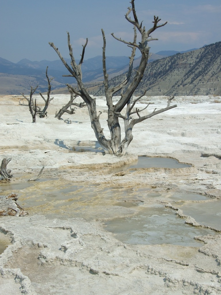 [DSCF79017.jpg]