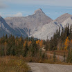 _MG_7242.jpg