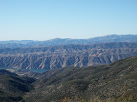 PB252345.JPG