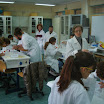 DSC00471.JPG