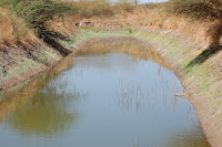 DSC_0037.JPG