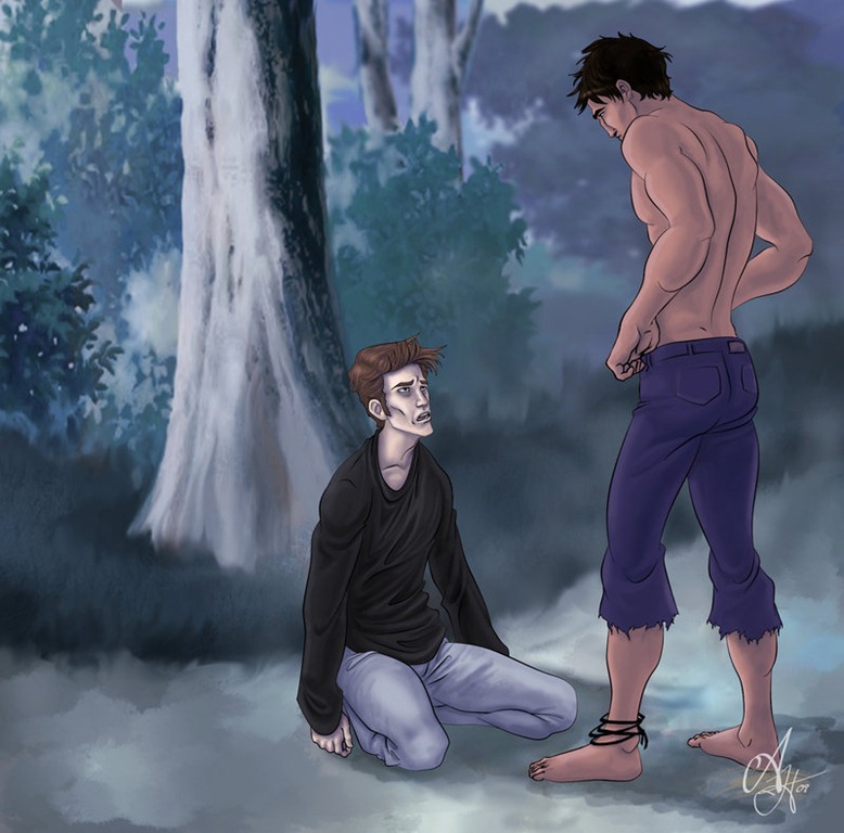 [crepusculo-1245.jpg]