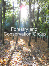 Forestry and Conservation group