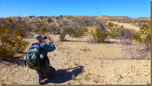 Terlingua rockhounding_028