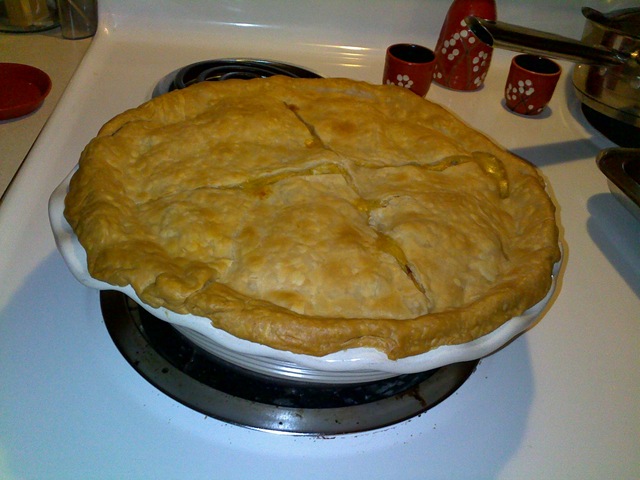 [Pot%2520Pie%255B2%255D.jpg]