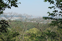IMG_5528.JPG