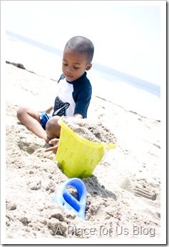 Malibu Beach-15