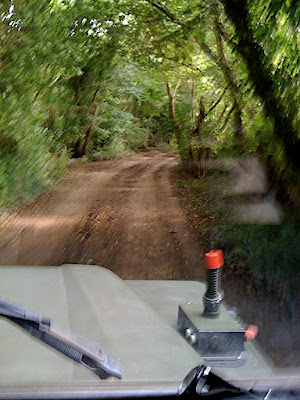 The track winds through the woods...