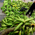 Green mangos, plaintins, small banannas and large banannas