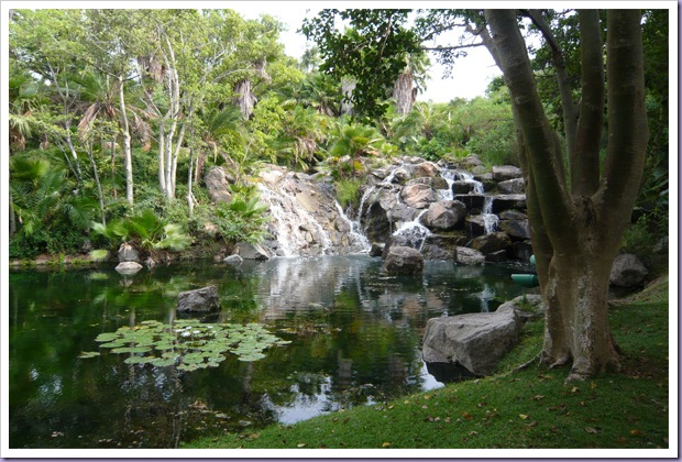 The-Palace-of-the-Lost-City-Sun-City-África-do-Sul-Cachoeira-Árvores The-Palace-of-the-Lost-City-Sun-City-África-do-Sul-Cachoeira-Árvores