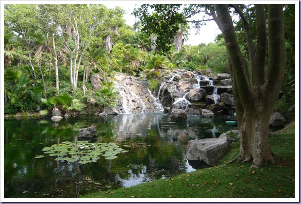 The-Palace-of-the-Lost-City-Sun-City-África-do-Sul-Cachoeira-Árvores