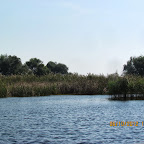 IMG_7980.JPG