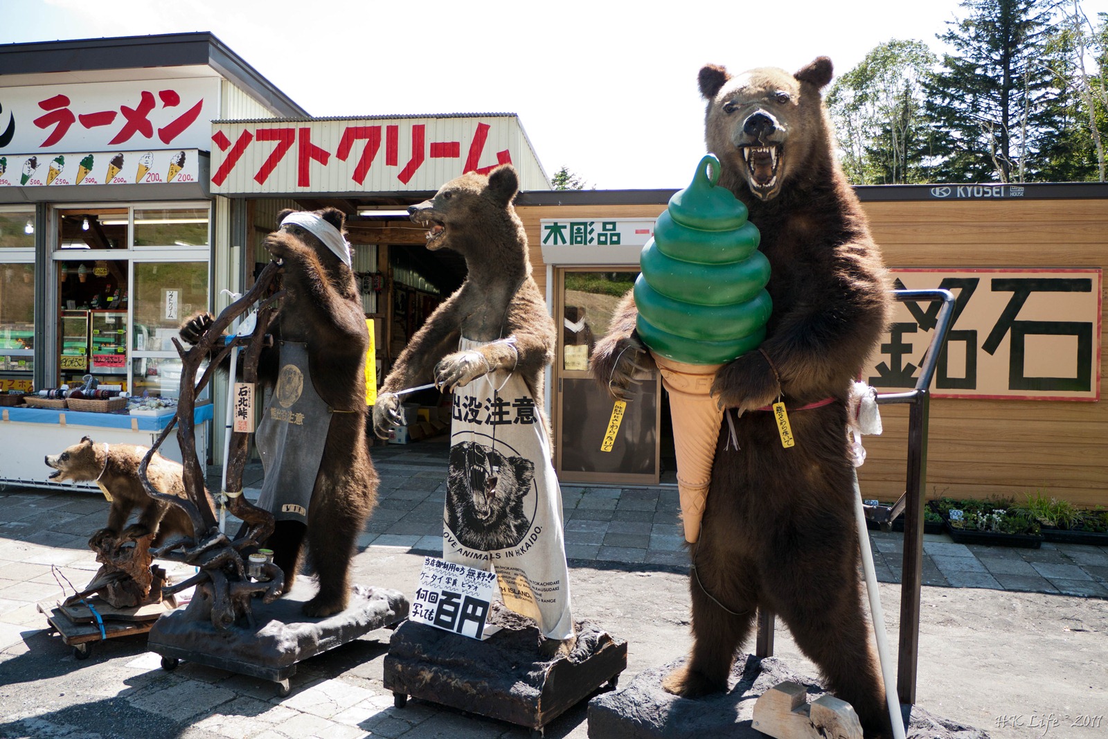 [P1000817%255B3%255D.jpg]