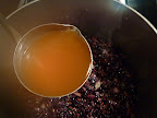 The wine has evaporated and now add the first ladleful of broth