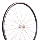 image1.jpg