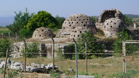 Selcuk sarnic