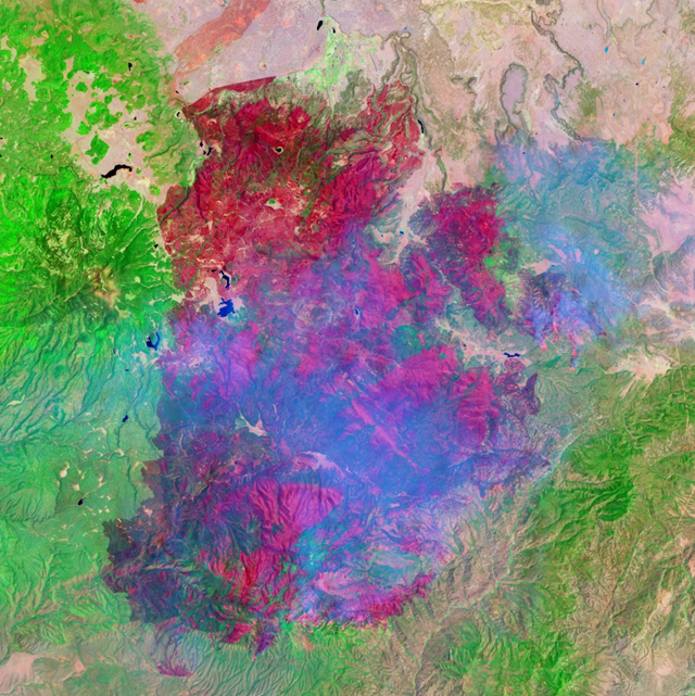 The newly burned land left in the wake of the Wallow Fire is dark red in this false-color image taken on June 15, 2011. The image, acquired by the Landsat 5 satellite, is made with infrared light. The slightly blue blur is smoke, and dots of bright orange-red on the south side of the burn are active fires. Unburned forest is green, and sparsely vegetated land is pink. NASA / ibtimes.com