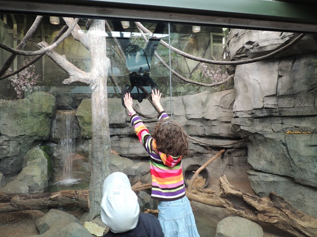 [DSCN1035%255B3%255D.jpg]