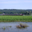 mru268.JPG