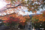 DSC00325.JPG