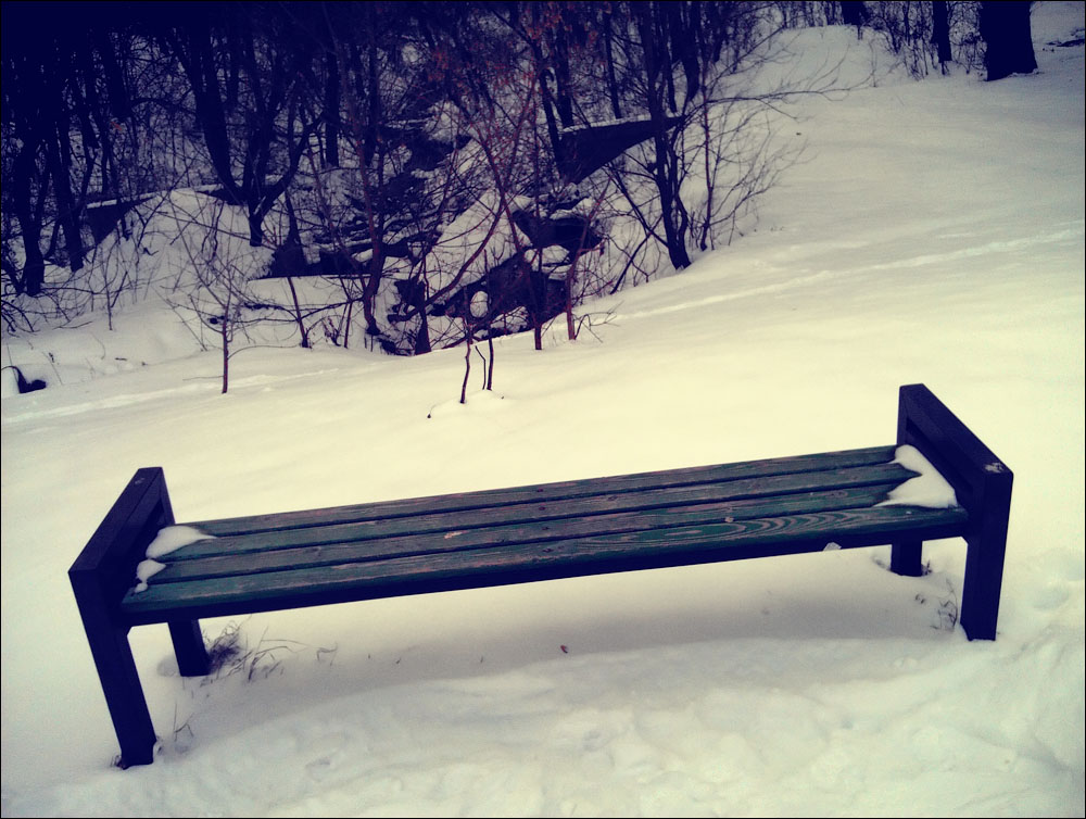 IMAG0207.jpg