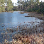 DSC00380.JPG