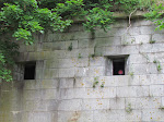 IMG_1654.jpg
