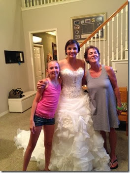 lainey's dress lainey's dress