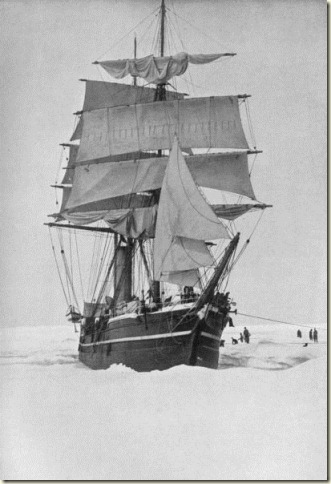 terranova terranova