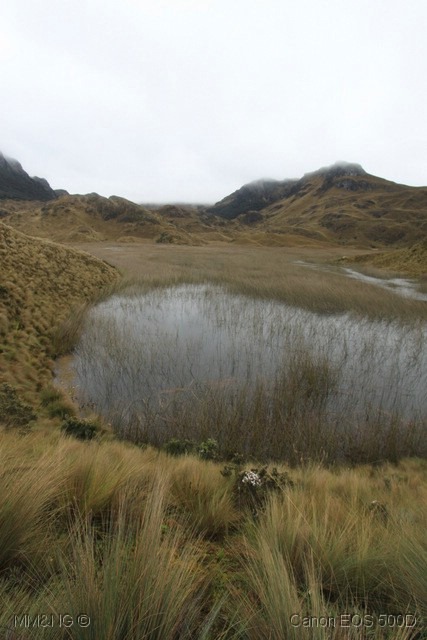 [IMG_3567%255B4%255D.jpg]