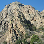 IMG0847.JPG