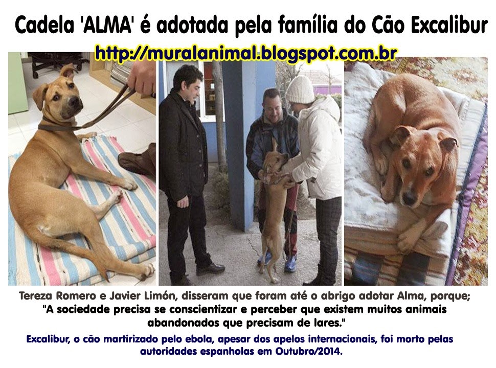 [alma_excalibur%255B3%255D.jpg]