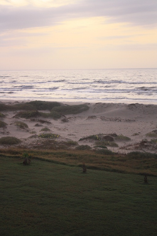 [IMG_5828%255B3%255D.jpg]