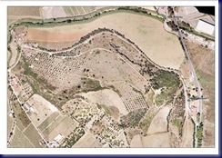 mtecatelinhos mtecatelinhos