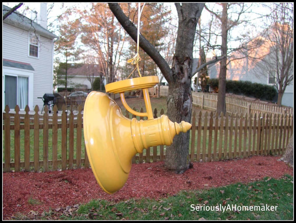 [yellow%2520lamp%2520hanging%2520from%2520tree%255B4%255D.jpg]